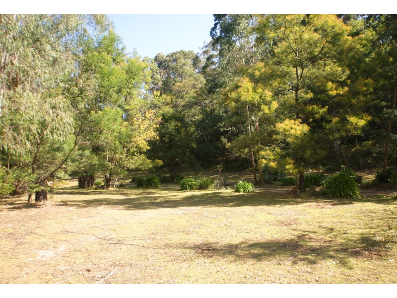 406 Backhouses Forest Road, Mogood NSW 2538