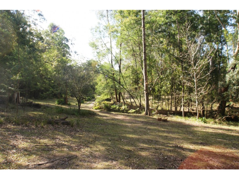 406 Backhouses Forest Road, Mogood NSW 2538