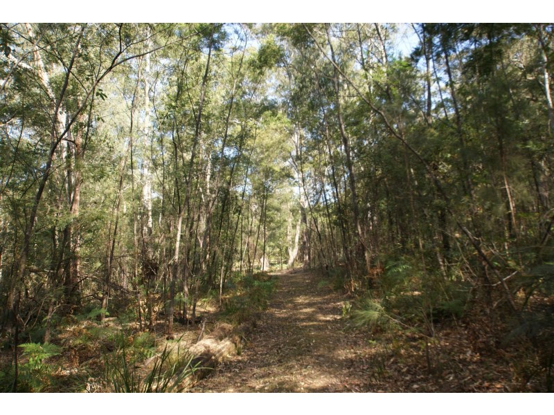 406 Backhouses Forest Road, Mogood NSW 2538