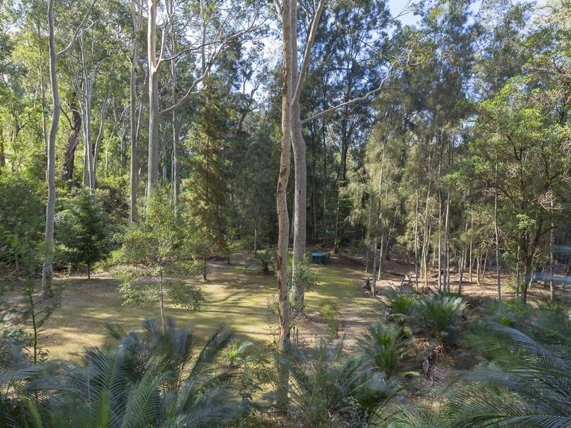 20 Burri Palm Way, Surfside NSW 2536