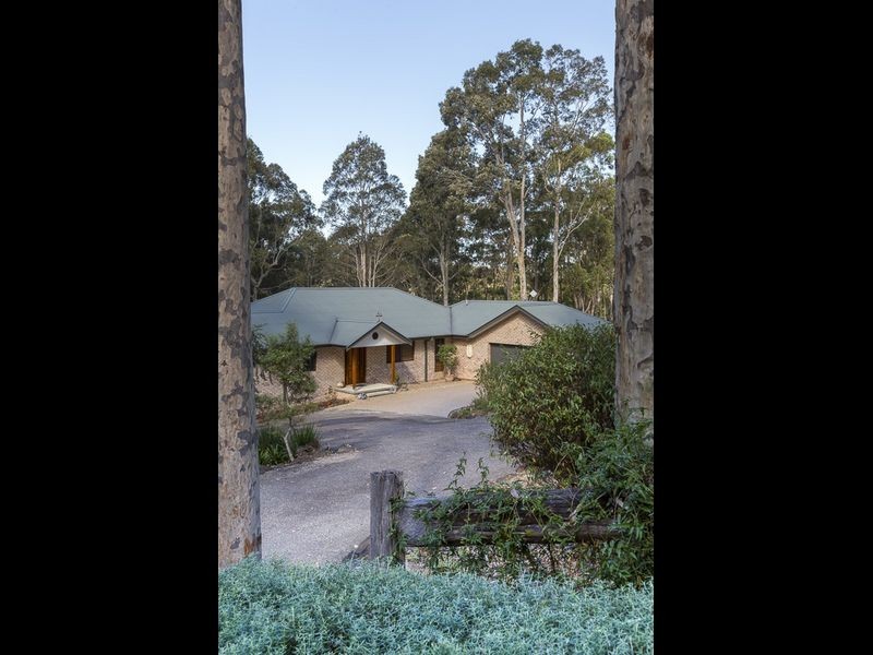 20 Burri Palm Way, Surfside NSW 2536