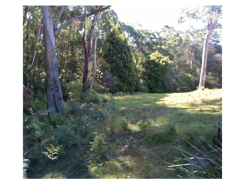 Lot 3 Princes Highway, Termeil NSW 2539