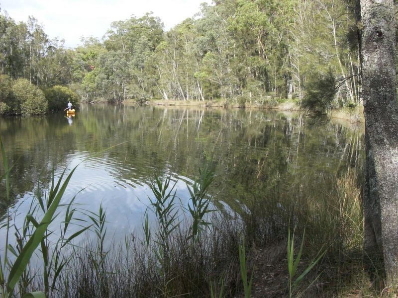 491 Windywoppa Road, Benandarah NSW 2536