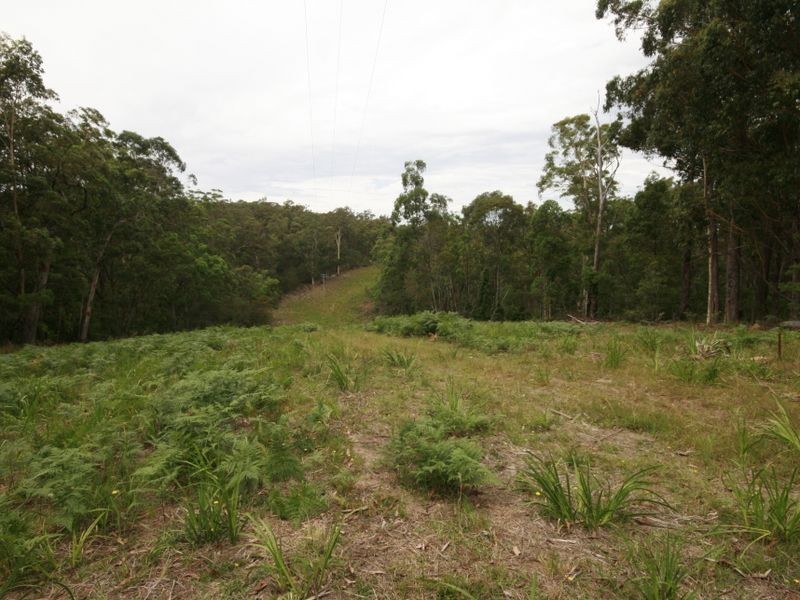 491 Windywoppa Road, Benandarah NSW 2536