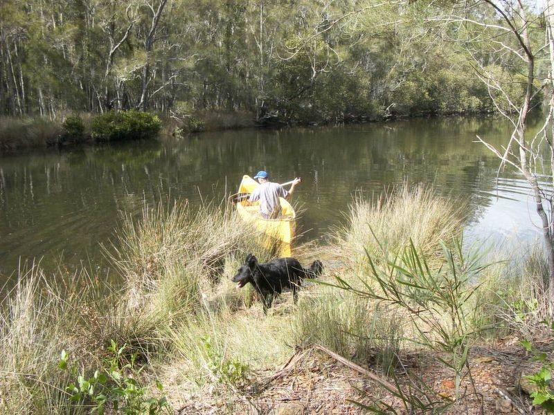 491 Windywoppa Road, Benandarah NSW 2536