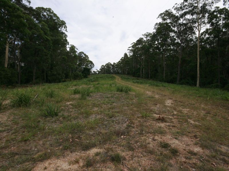 491 Windywoppa Road, Benandarah NSW 2536