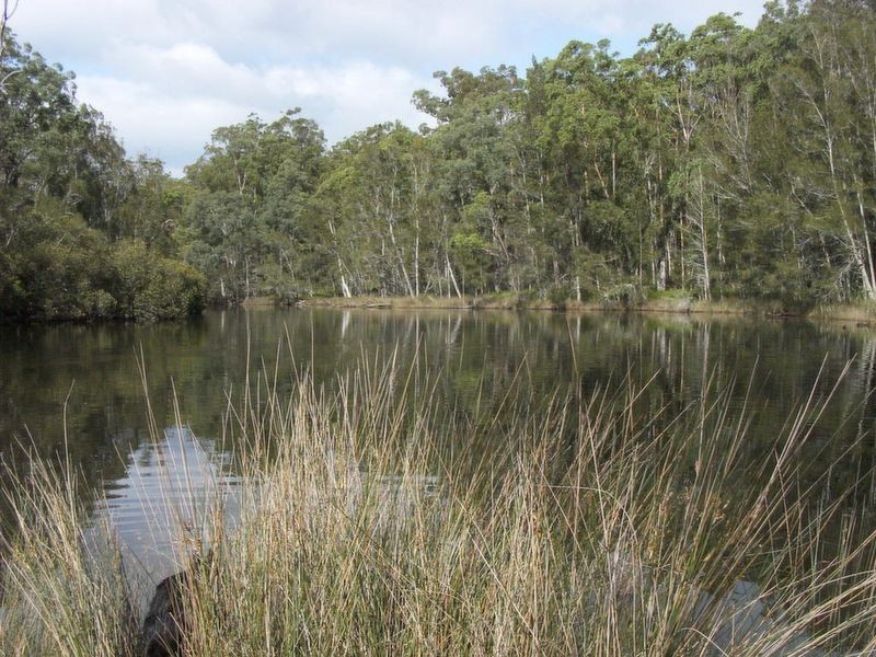 491 Windywoppa Road, Benandarah NSW 2536