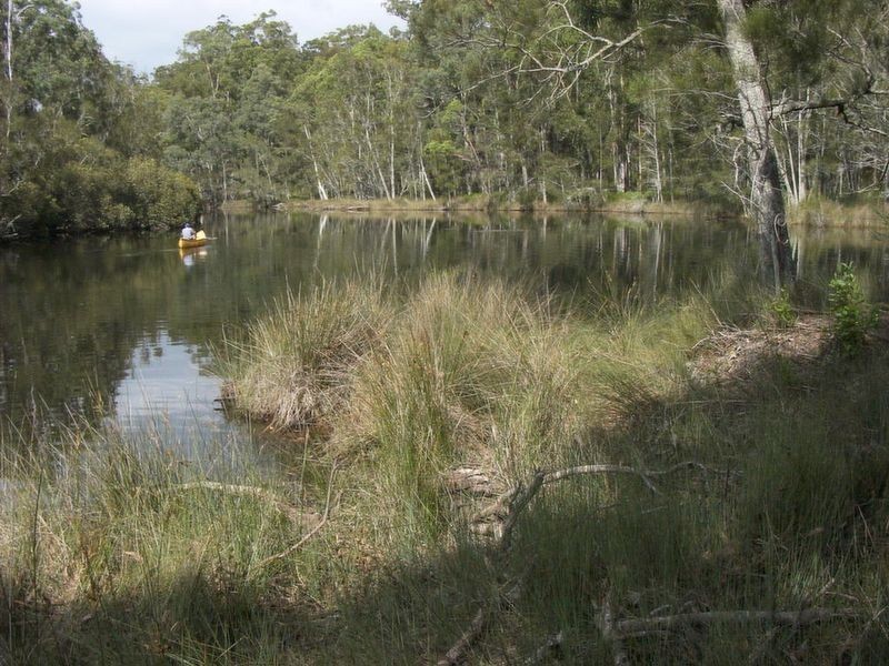 491 Windywoppa Road, Benandarah NSW 2536