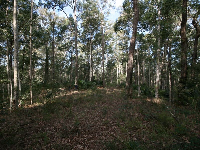 491 Windywoppa Road, Benandarah NSW 2536