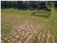 3828 Princes Highway, Coila NSW 2537