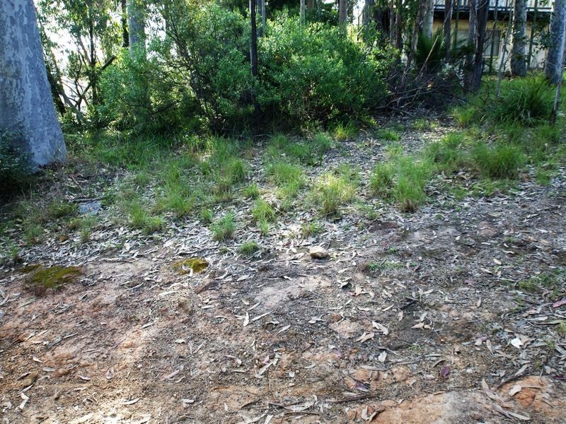 645 Beach Road, Surf Beach NSW 2536