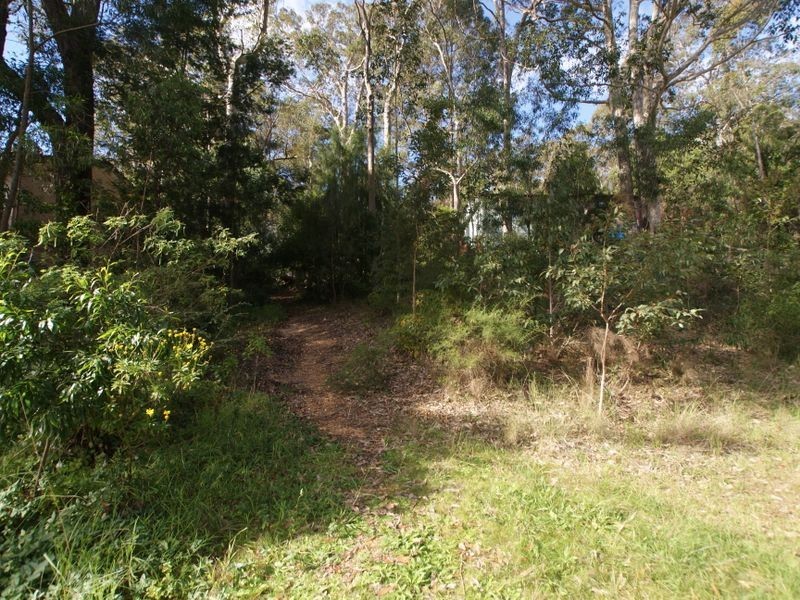 11 Ibis Place, Catalina NSW 2536