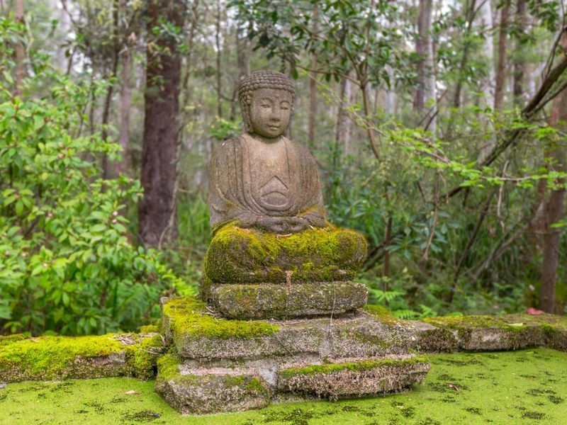 31 Buckenboura Road, Mogo NSW 2536