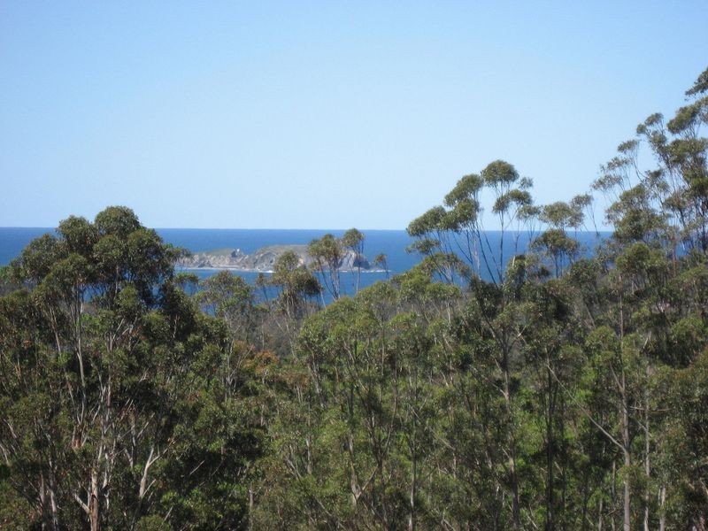 676 The Ridge Road, Malua Bay NSW 2536