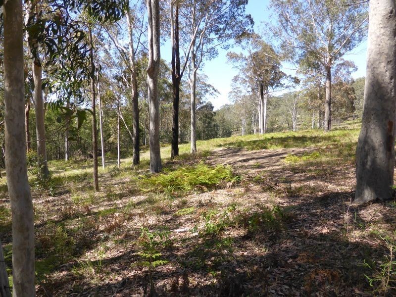 Lot 63 Mays Lane, Runnyford NSW 2536
