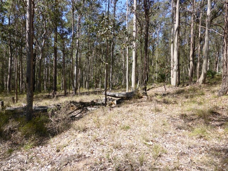 Lot 4 Princes Highway, Broulee NSW 2537