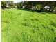 11 Michener Court, Long Beach NSW 2536