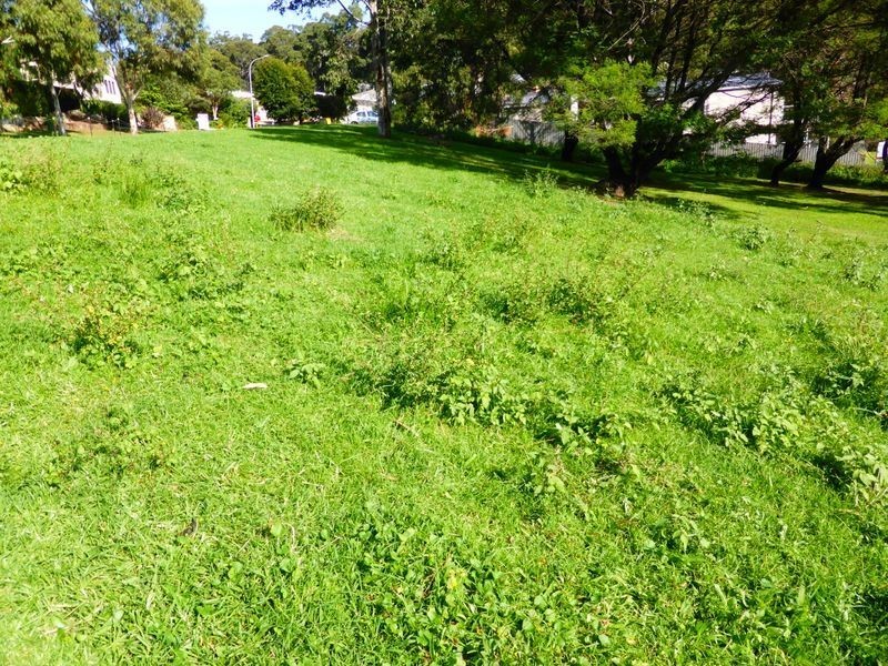 11 Michener Court, Long Beach NSW 2536