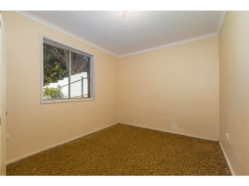 3 Penguin Place, Catalina NSW 2536