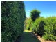 58 Yarrabee Drive, Catalina NSW 2536