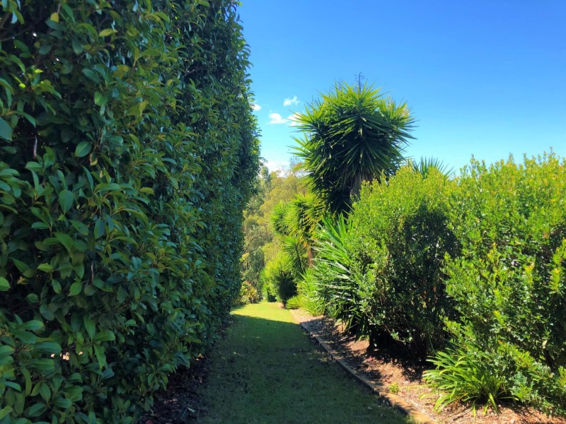 58 Yarrabee Drive, Catalina NSW 2536