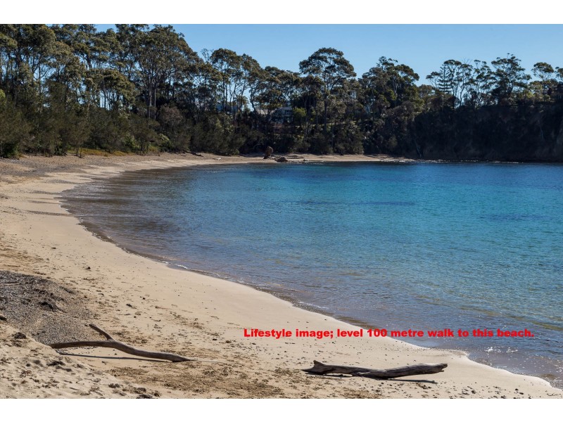 2/155 Beach Road, Sunshine Bay NSW 2536