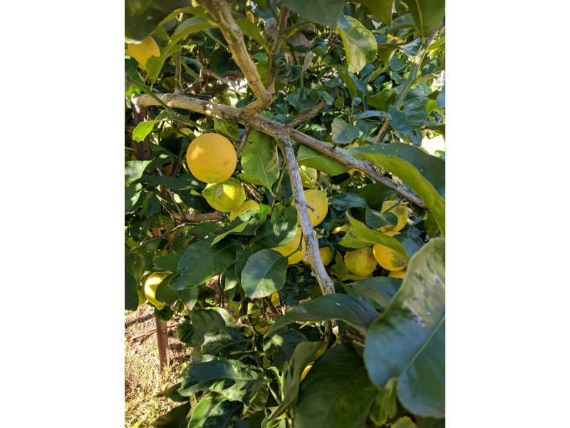 15 Benandra Road, South Durras NSW 2536