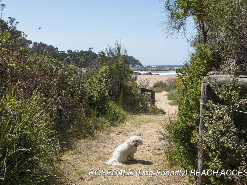 24 Rosedale Parade, Rosedale NSW 2536