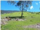 Lot 1 off Neringla Road, Araluen NSW 2622