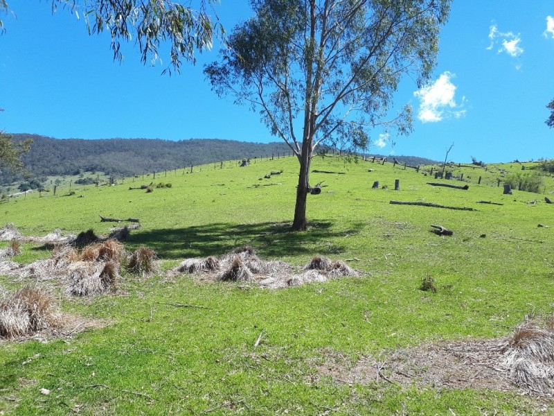 Lot 1 off Neringla Road, Araluen NSW 2622