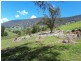 Lot 1 off Neringla Road, Araluen NSW 2622