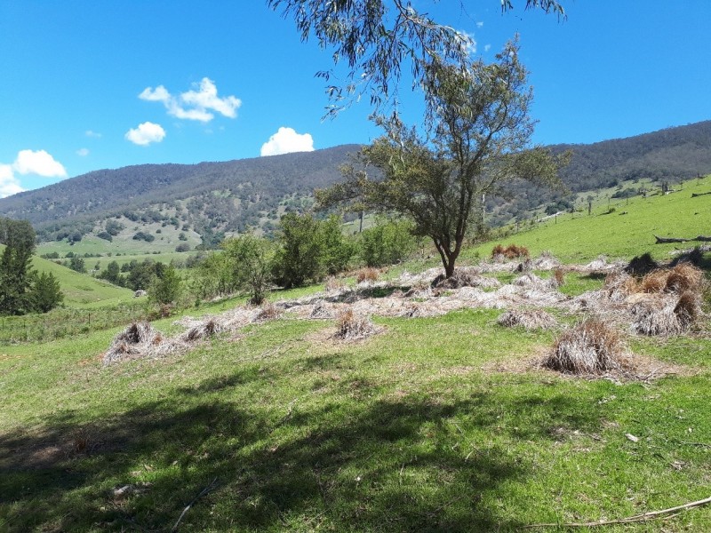 Lot 1 off Neringla Road, Araluen NSW 2622