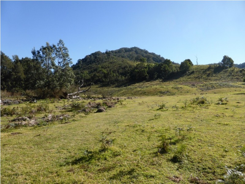 Lot 1 off Neringla Road, Araluen NSW 2622