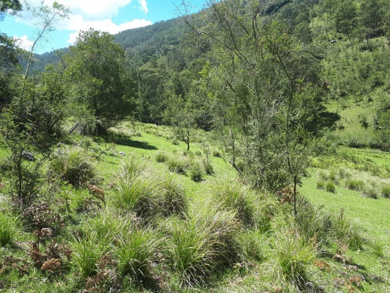 Lot 1 off Neringla Road, Araluen NSW 2622