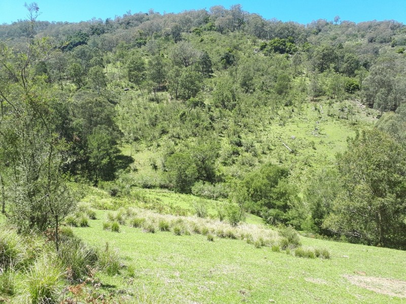 Lot 1 off Neringla Road, Araluen NSW 2622