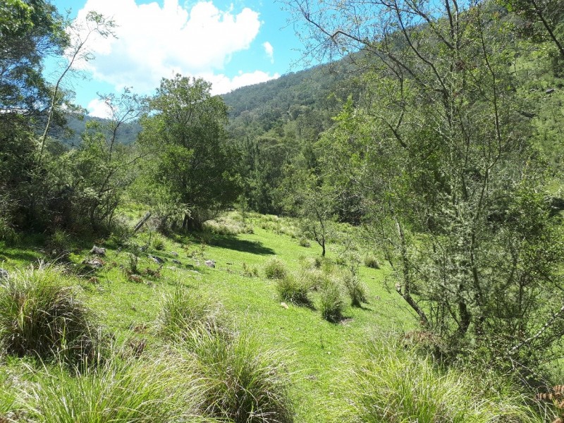 Lot 1 off Neringla Road, Araluen NSW 2622