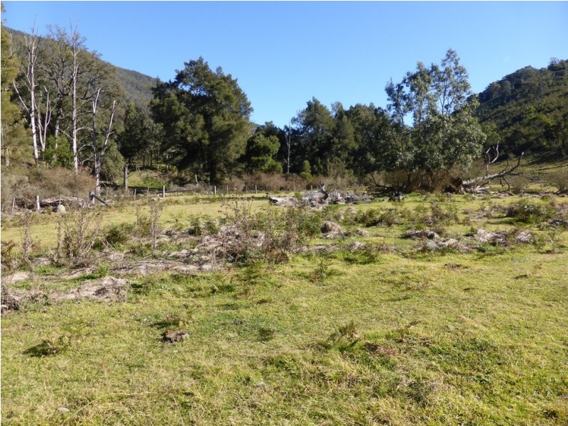Lot 1 off Neringla Road, Araluen NSW 2622