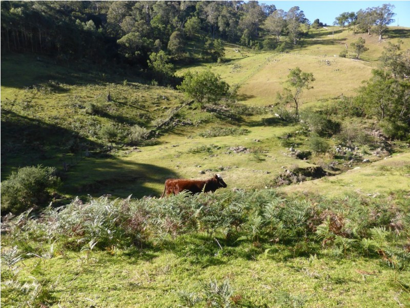 Lot 1 off Neringla Road, Araluen NSW 2622