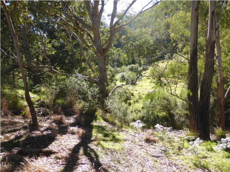Lot 1 off Neringla Road, Araluen NSW 2622