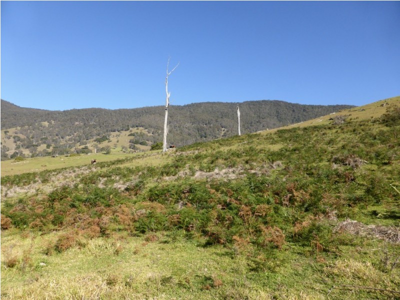 Lot 1 off Neringla Road, Araluen NSW 2622