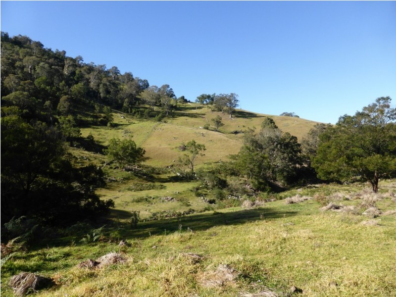 Lot 1 off Neringla Road, Araluen NSW 2622