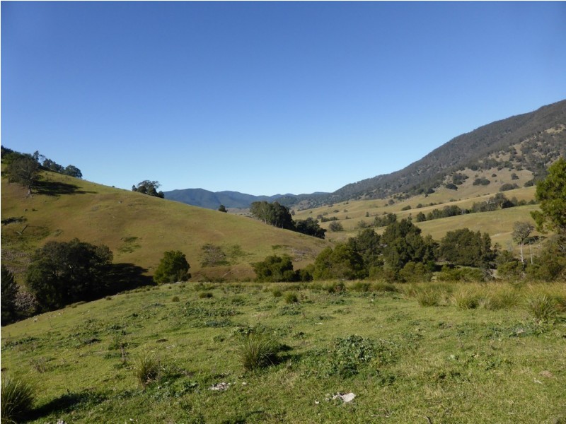 Lot 1 off Neringla Road, Araluen NSW 2622