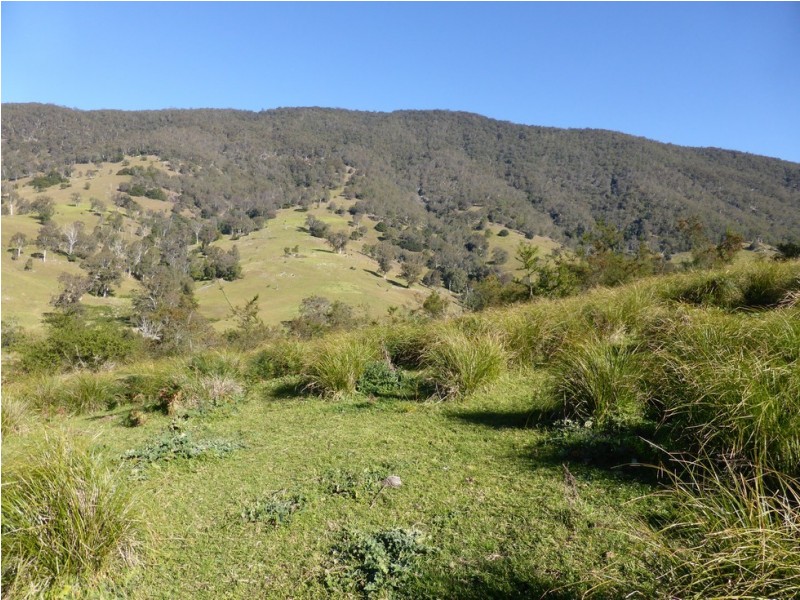Lot 1 off Neringla Road, Araluen NSW 2622
