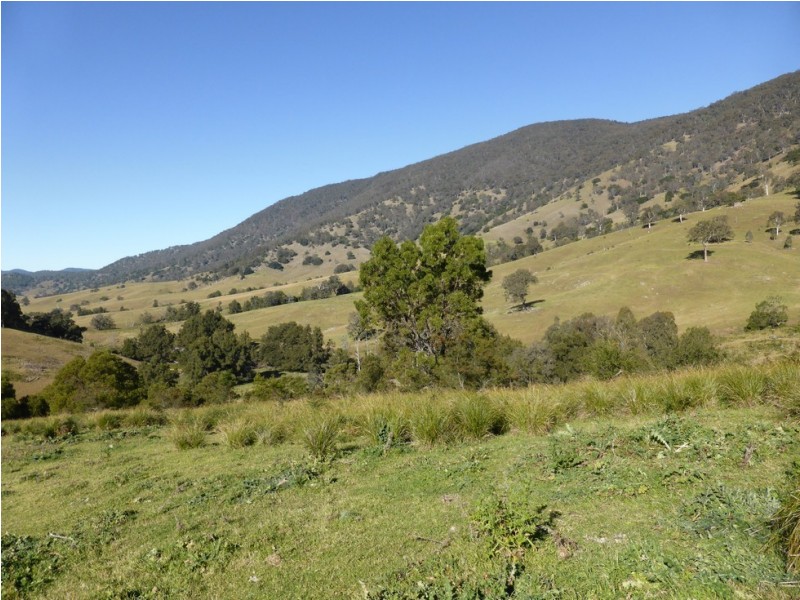 Lot 1 off Neringla Road, Araluen NSW 2622