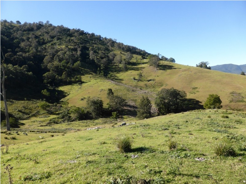 Lot 1 off Neringla Road, Araluen NSW 2622