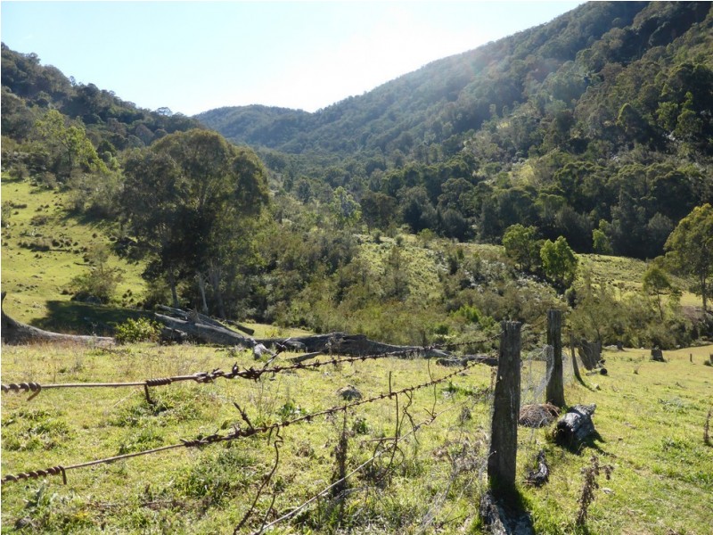 Lot 1 off Neringla Road, Araluen NSW 2622