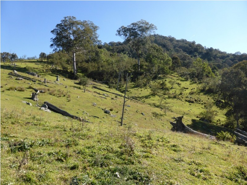 Lot 1 off Neringla Road, Araluen NSW 2622