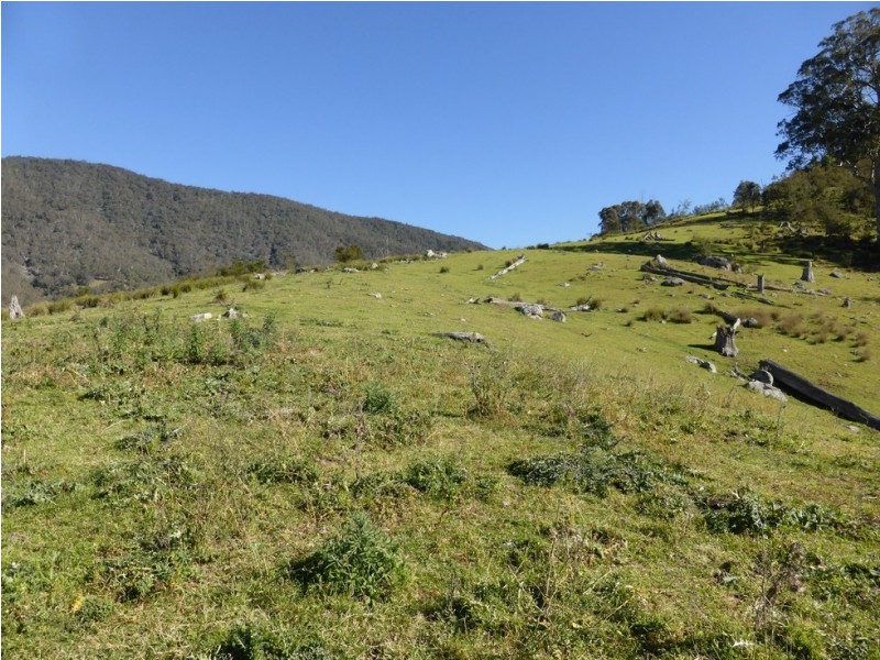 Lot 1 off Neringla Road, Araluen NSW 2622