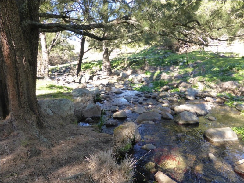 Lot 1 off Neringla Road, Araluen NSW 2622