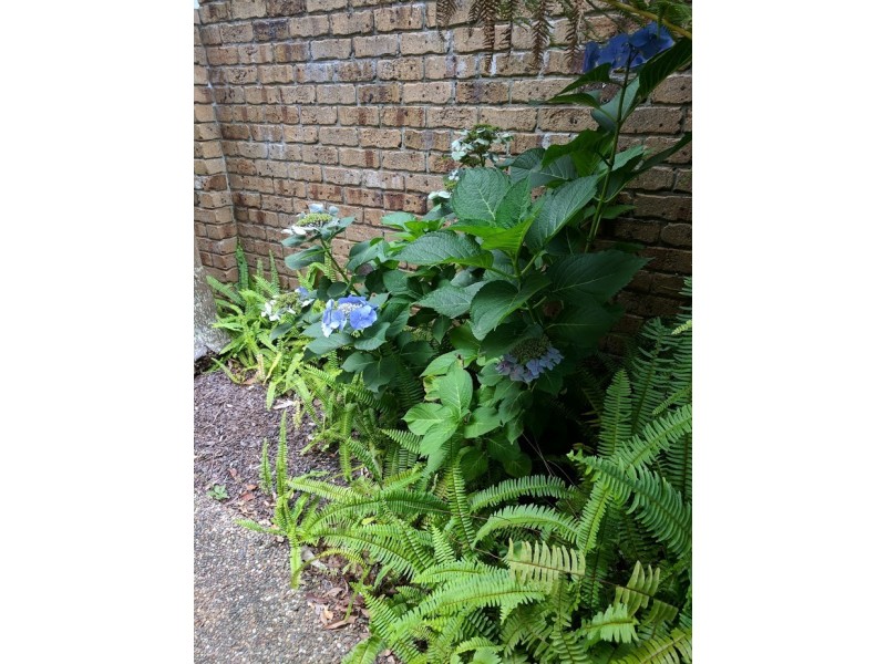 10/272 – 276 Beach Road, Batehaven NSW 2536